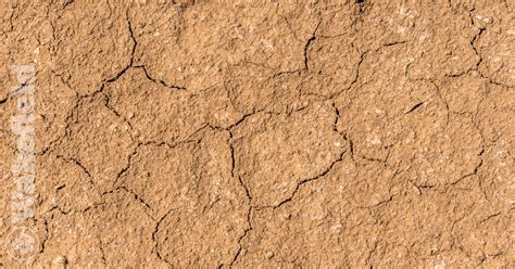 Silty Soil Conditions - Wakefield BioChar