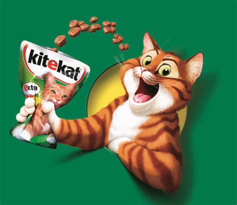 Daryl Graham Animation and Design: KiteKat