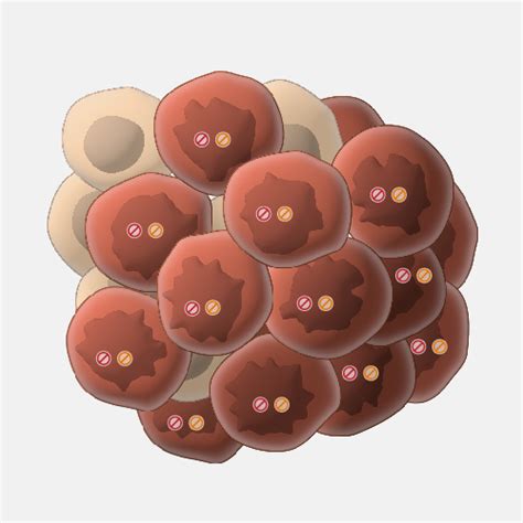 Tumor Suppressor Gene