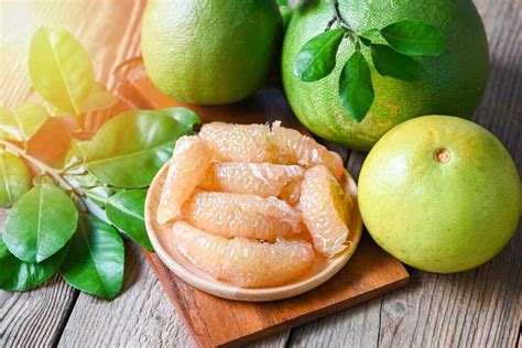 Pomelo Citrus Fruit - Citrus maxima | Rare Plant Seeds | Whimsy and Wonder