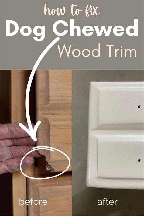 how to fix wood molding dog chewed