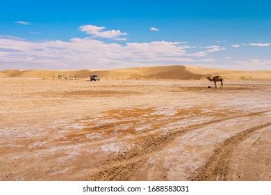388 Solonchak Images, Stock Photos & Vectors | Shutterstock