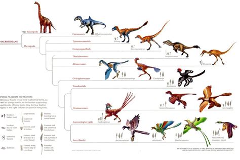 Palaeos Vertebrates: Coelurosauria: Overview | Reptiles, Prehistoric animals, Dinosaur