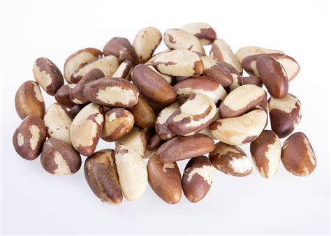 Castanha do Brasil é altamente nutritiva e ajuda na prevenção de câncer