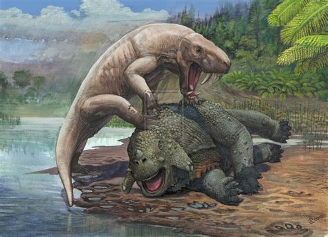 Inostrancevia vs scutosaurus by atrox1 on deviantART | Prehistoric animals, Prehistoric ...