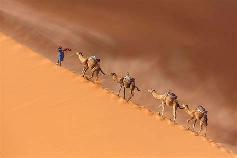 Sahara Desert - WorldAtlas