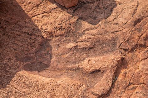 Misteriozni crteži pored otisaka dinosaurusa: Naučnici traže motiv ...
