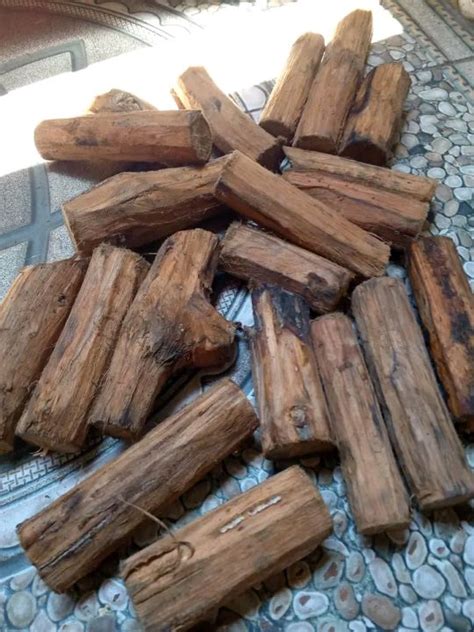 kayu bajaka 06 | Lazada Indonesia