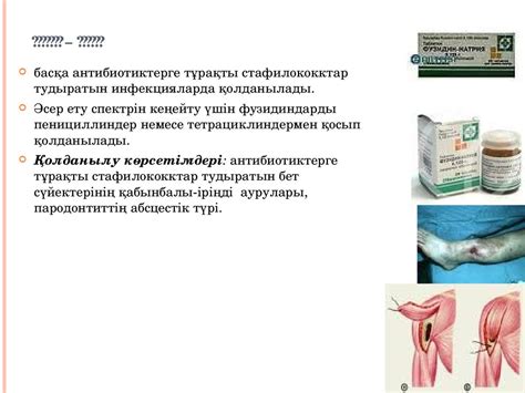 Казакша №12. Антибиотиктер - презентация онлайн