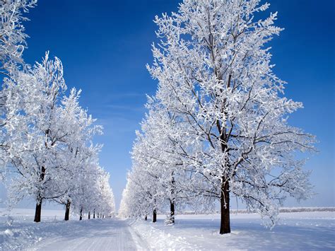 🔥 [40+] Country Winter Wallpapers | WallpaperSafari