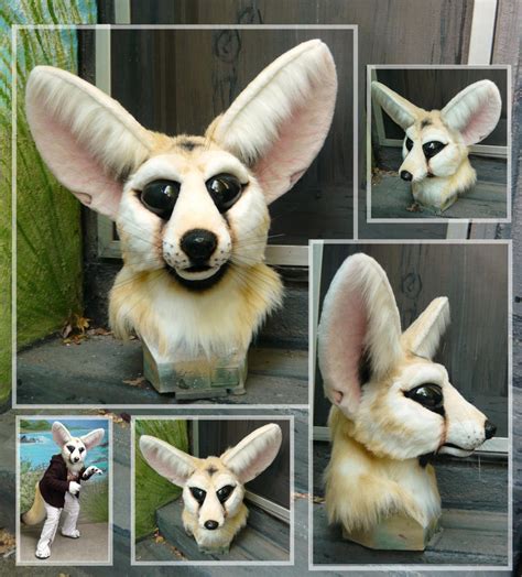 Fennec close ups by LilleahWest on DeviantArt