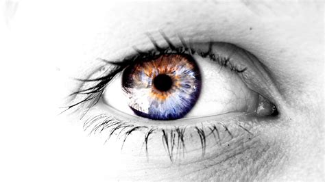 eye hd wallpaper