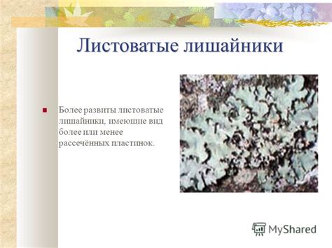 Презентация на тему: "ЦДО при ГОУ «Белгородский инженерный юношеский ...