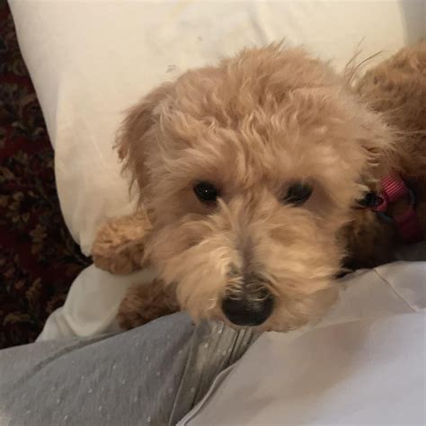 The hidden ranch where Antonio Aguilar spent his final days 15