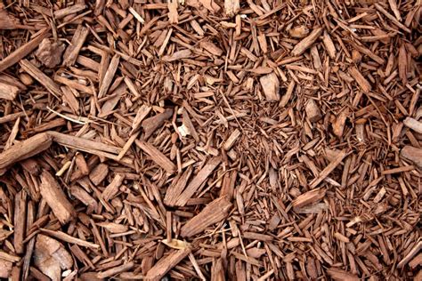 The Benefits of Mulch and Your Garden - T&G Tree Services
