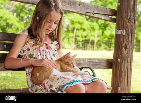 Petting cat hi-res stock photography and images - Alamy