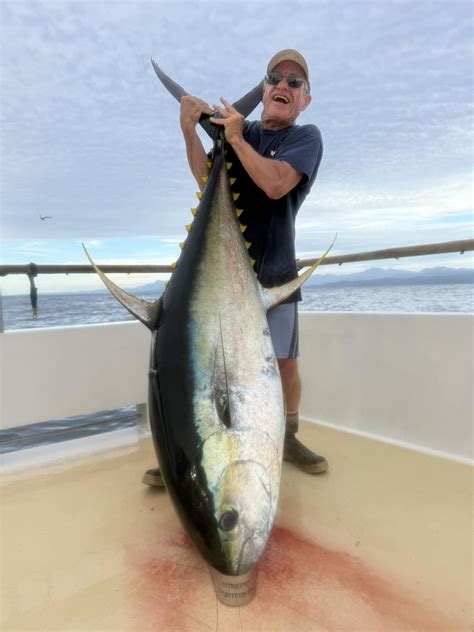 San Diego Fish Reports