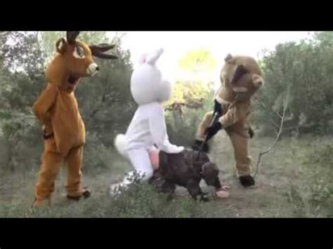 Example : Zoophilia disease - YouTube