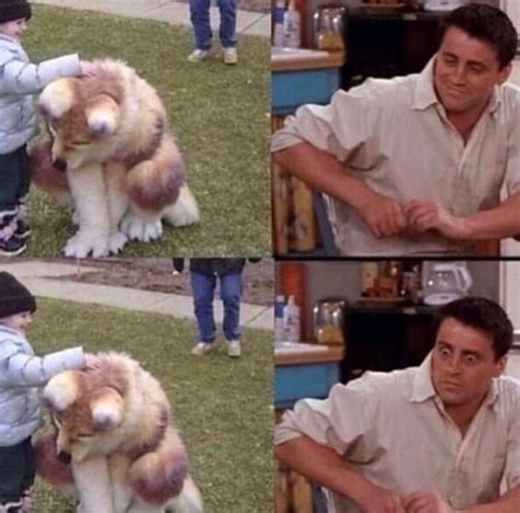 Hidden furry - Meme by Scalyflipflops :) Memedroid