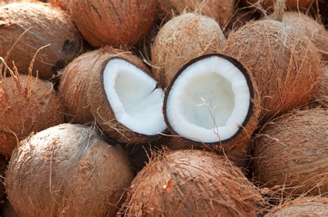 O Que Significa Coconut - Coconut,Cut,In,Half,And,Whole,Coconuts,In,Organic,Farm. - Go Outside