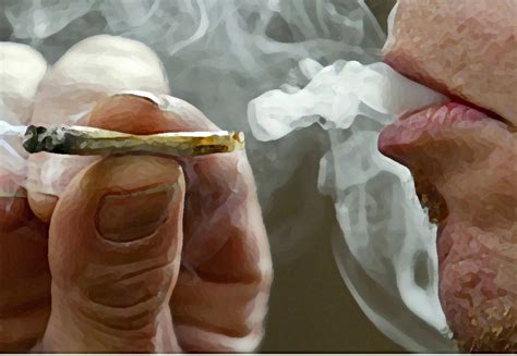 Las dos caras de la mariguana: efectos adversos y medicinales - Ciencia ...
