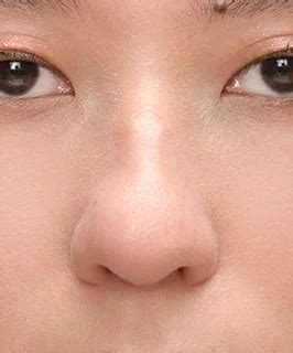 contour   nose shape  yesstylist