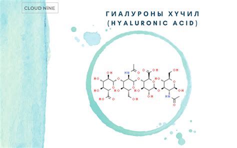 Гиалуроны хүчил (Hyaluronic Acid) гэж юу вэ? - Cloud Nine