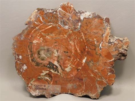Arizona Rocks - Arizona Minerals I OakRocks
