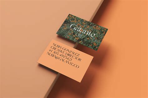 GALANTE on Behance