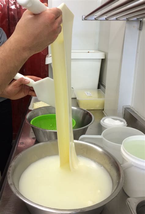 how to make fresh mozzarella 10