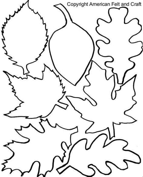 Pin by Наталія Луценко on Осінь | Fall leaf template, Fall leaves ...