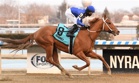 Aqueduct Picks: The Truth About the Hype (Is it Real or Fake?) - rygctbr