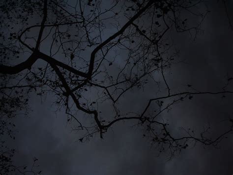 Minuit dans le jardin : "Et la nuit était obscure et elle éclairait la ...