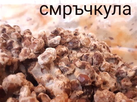 Мицел на зърно за черна смръчкула