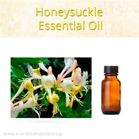 Honeysuckle essential oil | e-ΑΡΩΜΑΤΟΠΩΛΕΙΟΝ PERFUMES, COLOGNES ...