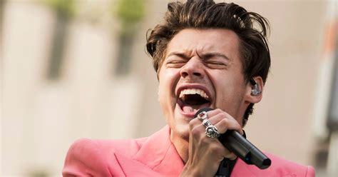 Harry Styles interview: Writing his new album was 'like therapy'