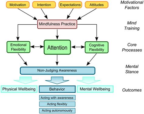 frontiers neural mechanisms  attentional control  mindfulness