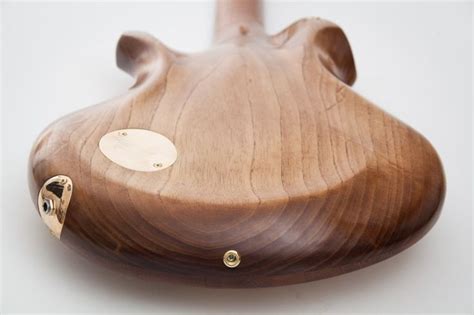 AV | Ergon Guitars | Musica