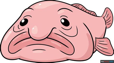 draw  blobfish  easy drawing tutorial em