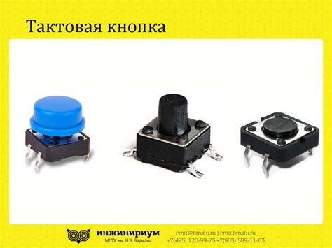 Элементы управления. Робототехника. Занятие 2 - online presentation