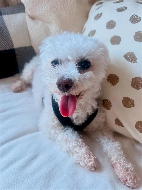 Erika Soto Venegas (@erikasotov) • Instagram photos and videos