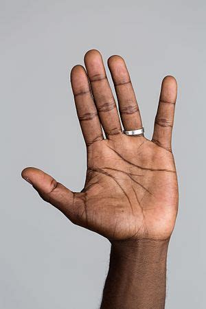 hand wikipedia