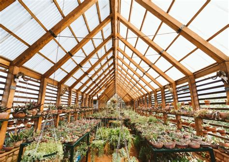 Best Gardens and Parks in Cape Town - Secret Cape Town