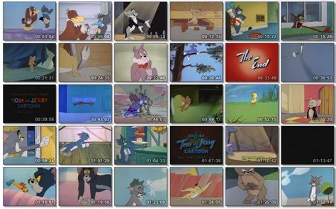 Mediafire Tom And Jerry - fasrpipe