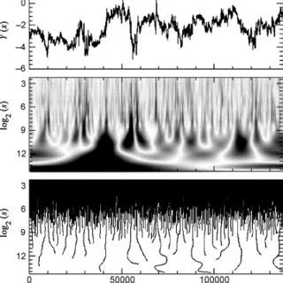wavelet transform modulus maxima wtmm method showing