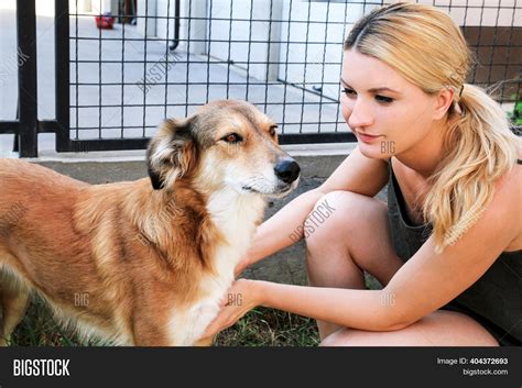 Owner Petting Dog. Image & Photo (Free Trial) | Bigstock