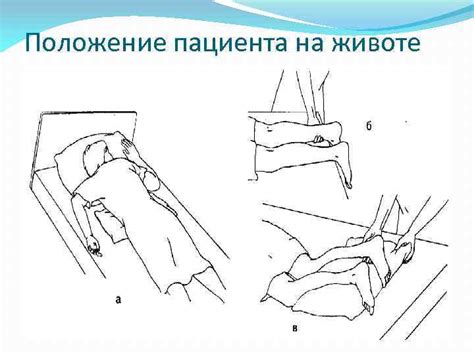 ALMATY MEDICAL COLLEGE Subject The main types of