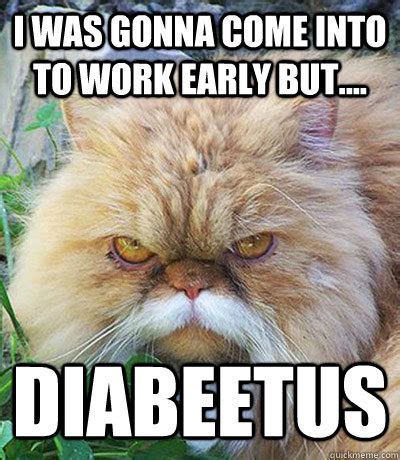 I was gonna come into to work early but.... Diabeetus - Diabeetus Cat - quickmeme