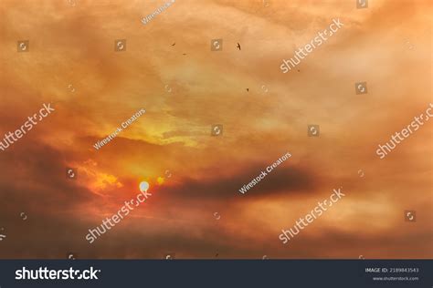 Golden Clouds Sky Sunset Stock Photo 2189843543 | Shutterstock