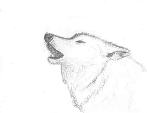 Wolf Sketch Howling at PaintingValley.com | Explore collection of Wolf ...